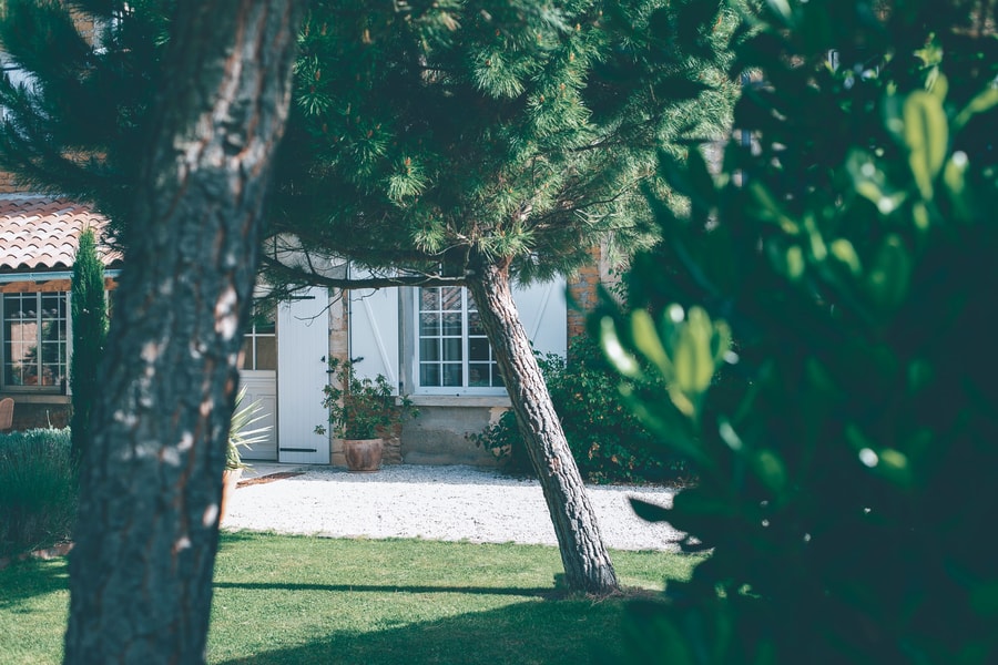 Image d'illustration 5